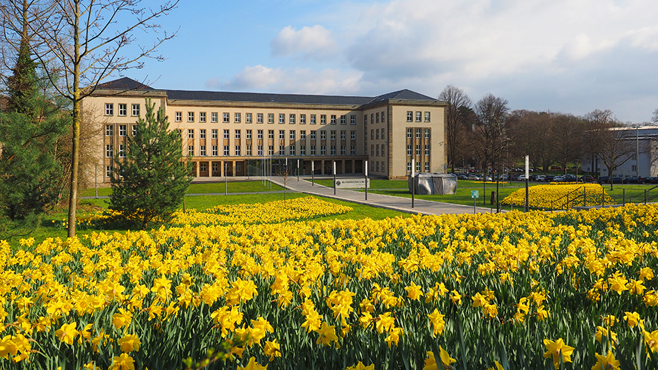 Blühende Osterglocken vor dem Eingangsbereich des Bundessozialgerichts